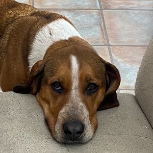 Meet your Posher, Dylan